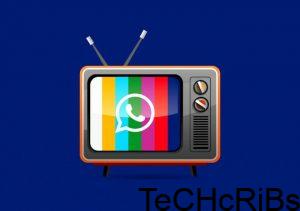 create a whatsapp Tv