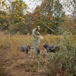 start a Commercial Pig Farming Business