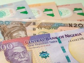 How To Make 3000 Naira Daily In Nigeria